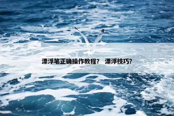 漂浮笔正确操作教程？ 漂浮技巧？