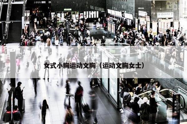 女式小胸运动文胸（运动文胸女士）