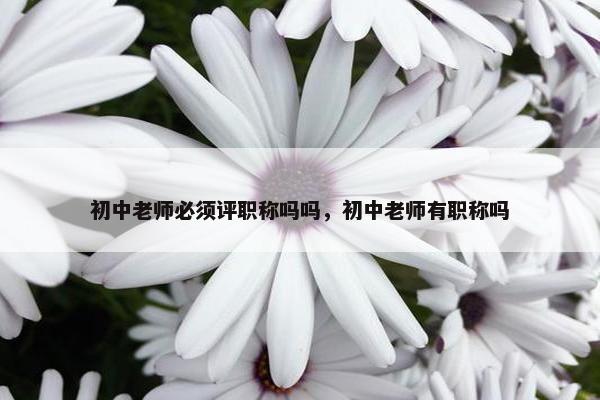 初中老师必须评职称吗吗，初中老师有职称吗