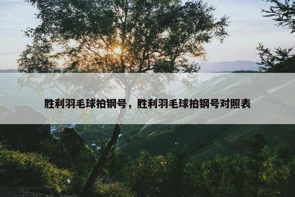 胜利羽毛球拍钢号，胜利羽毛球拍钢号对照表