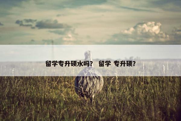 留学专升硕水吗？ 留学 专升硕？