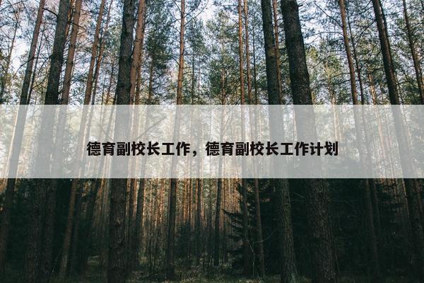 德育副校长工作，德育副校长工作计划