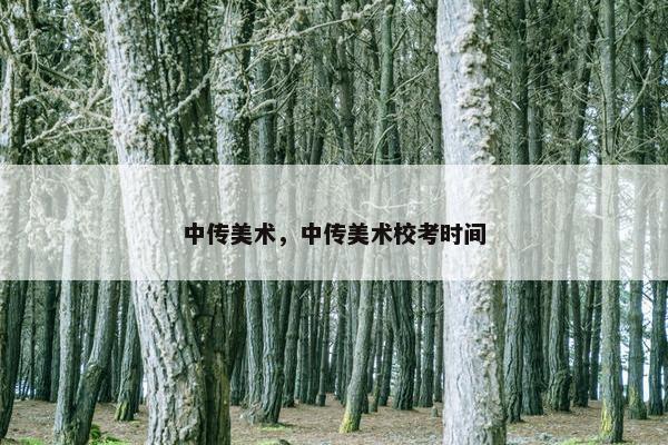 中传美术，中传美术校考时间