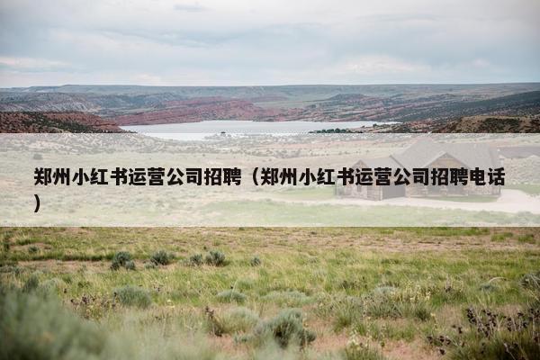 郑州小红书运营公司招聘（郑州小红书运营公司招聘电话）