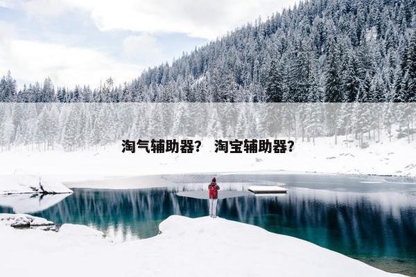 淘气辅助器？ 淘宝辅助器？