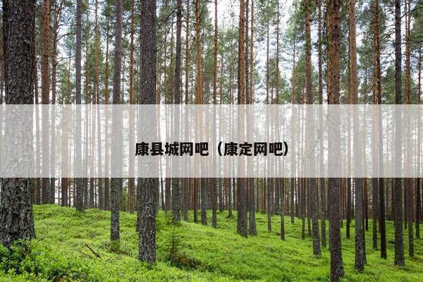 康县城网吧（康定网吧）