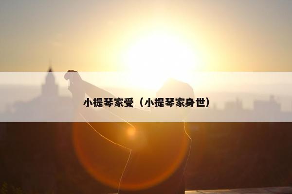 小提琴家受（小提琴家身世）