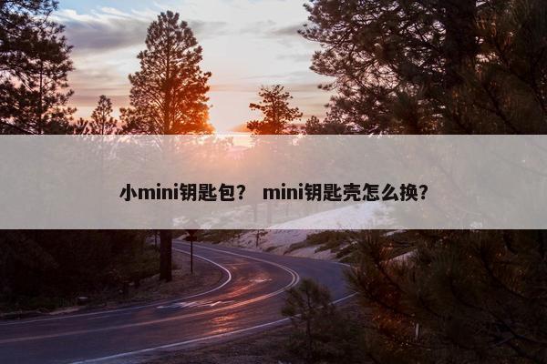 小mini钥匙包？ mini钥匙壳怎么换？