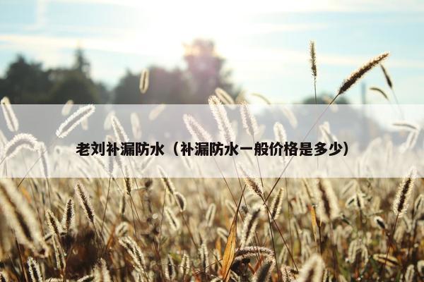 老刘补漏防水（补漏防水一般价格是多少）