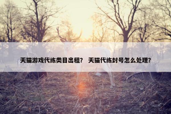 天猫游戏代练类目出租？ 天猫代练封号怎么处理？