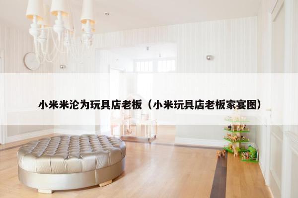 小米米沦为玩具店老板（小米玩具店老板家宴图）