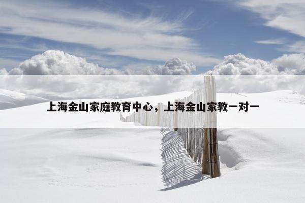 上海金山家庭教育中心，上海金山家教一对一