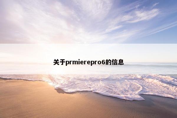 关于prmierepro6的信息