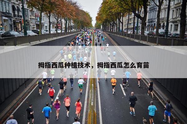 拇指西瓜种植技术，拇指西瓜怎么育苗