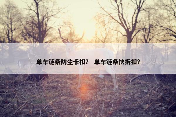 单车链条防尘卡扣？ 单车链条快拆扣？