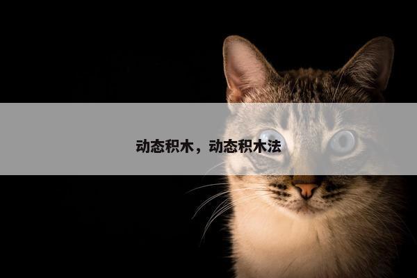 动态积木，动态积木法