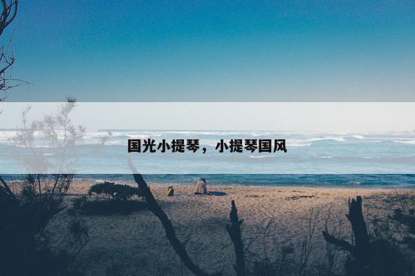 国光小提琴，小提琴国风