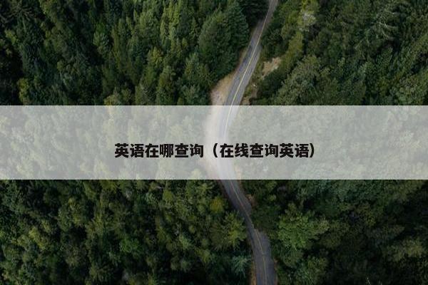 英语在哪查询（在线查询英语）
