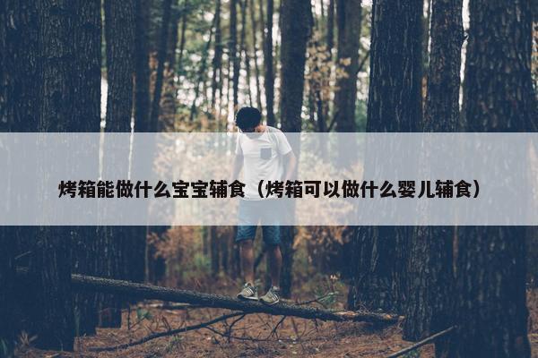 烤箱能做什么宝宝辅食（烤箱可以做什么婴儿辅食）