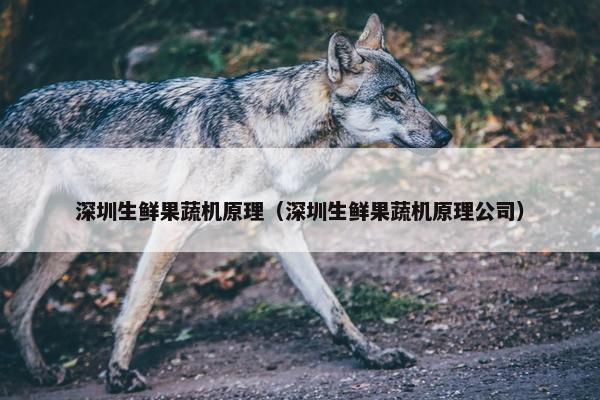 深圳生鲜果蔬机原理（深圳生鲜果蔬机原理公司）