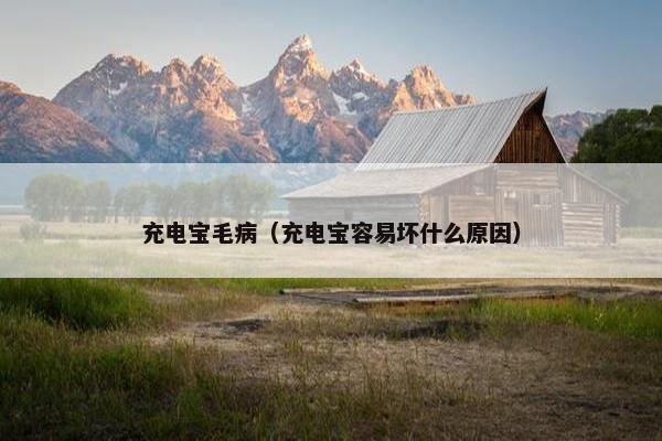 充电宝毛病（充电宝容易坏什么原因）
