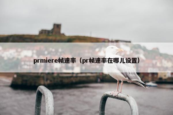 prmiere帧速率（pr帧速率在哪儿设置）