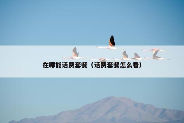 在哪能话费套餐（话费套餐怎么看）