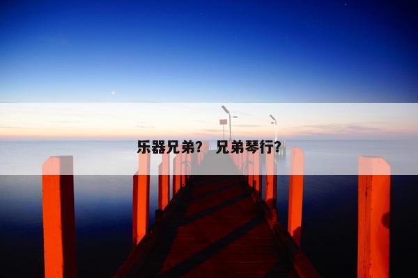 乐器兄弟？ 兄弟琴行？