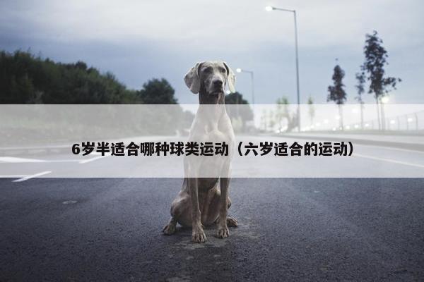 6岁半适合哪种球类运动（六岁适合的运动）