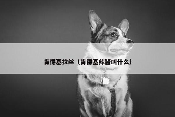 肯德基拉丝（肯德基辣酱叫什么）