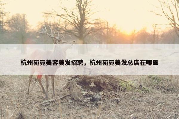杭州苑苑美容美发招聘，杭州苑苑美发总店在哪里
