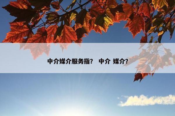 中介媒介服务指？ 中介 媒介？
