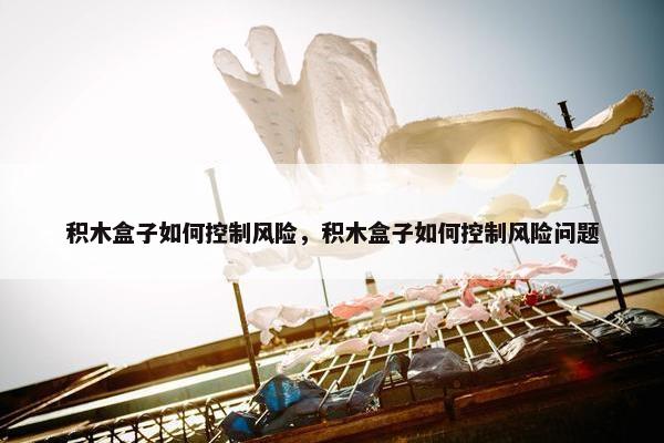 积木盒子如何控制风险，积木盒子如何控制风险问题