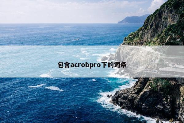 包含acrobpro下的词条