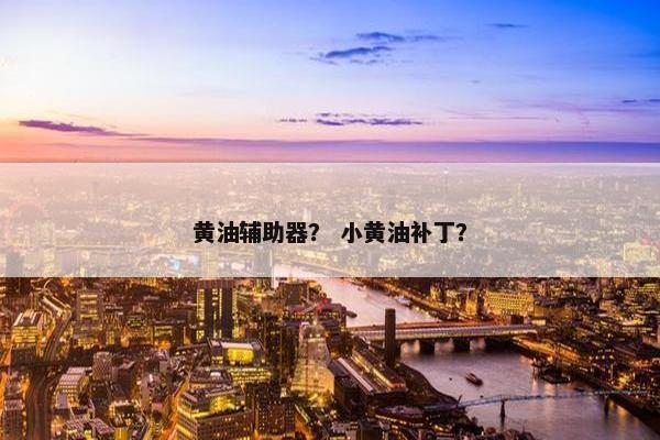 黄油辅助器？ 小黄油补丁？