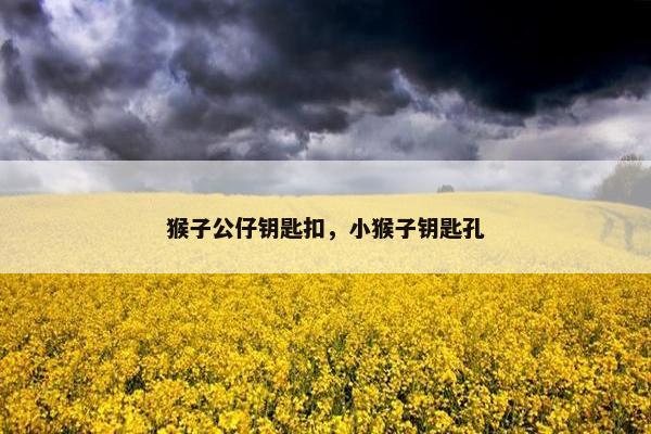 猴子公仔钥匙扣，小猴子钥匙孔