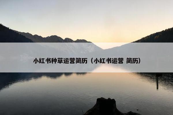 小红书种草运营简历（小红书运营 简历）