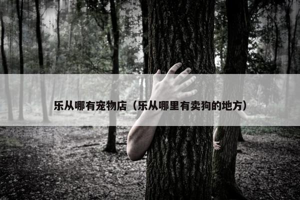 乐从哪有宠物店（乐从哪里有卖狗的地方）