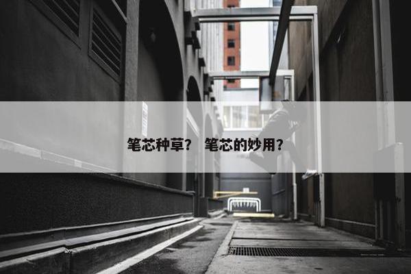 笔芯种草？ 笔芯的妙用？