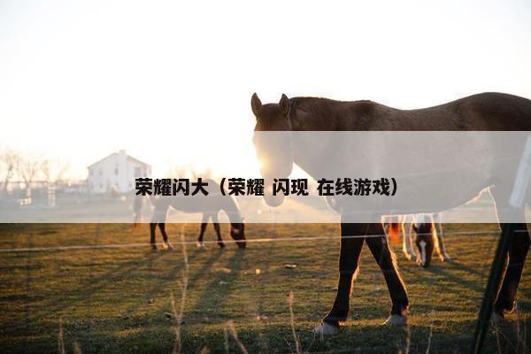 荣耀闪大（荣耀 闪现 在线游戏）