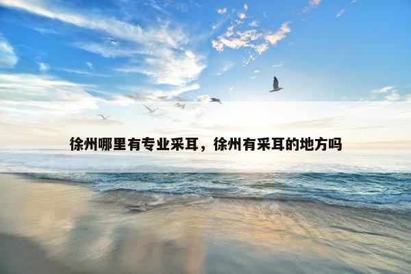 徐州哪里有专业采耳，徐州有采耳的地方吗