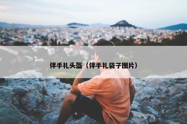 伴手礼头盔（伴手礼袋子图片）