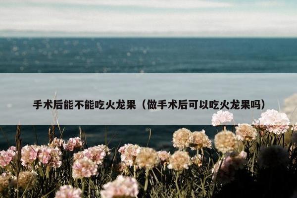 手术后能不能吃火龙果（做手术后可以吃火龙果吗）