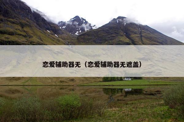 恋爱辅助器无（恋爱辅助器无遮盖）