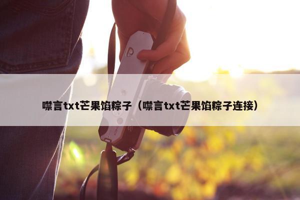 噤言txt芒果馅粽子（噤言txt芒果馅粽子连接）