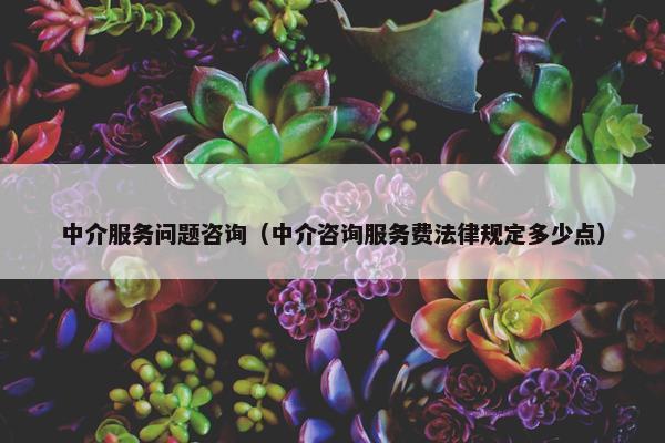中介服务问题咨询（中介咨询服务费法律规定多少点）