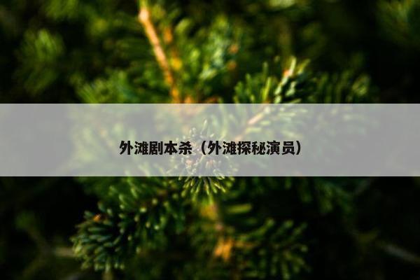 外滩剧本杀（外滩探秘演员）
