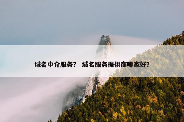 域名中介服务？ 域名服务提供商哪家好？
