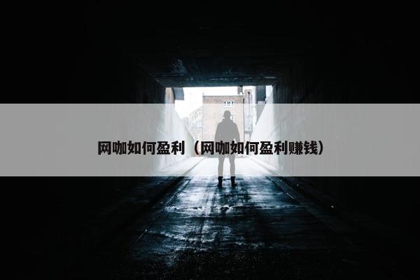 网咖如何盈利（网咖如何盈利赚钱）