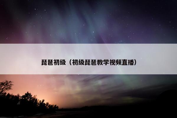 琵琶初级（初级琵琶教学视频直播）